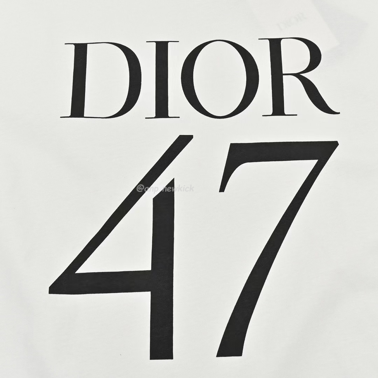 Dior Wide Body Bamboo Pure Cotton Plain Weave Fabric T Shirt White Navy (9) - www.newkick.vip